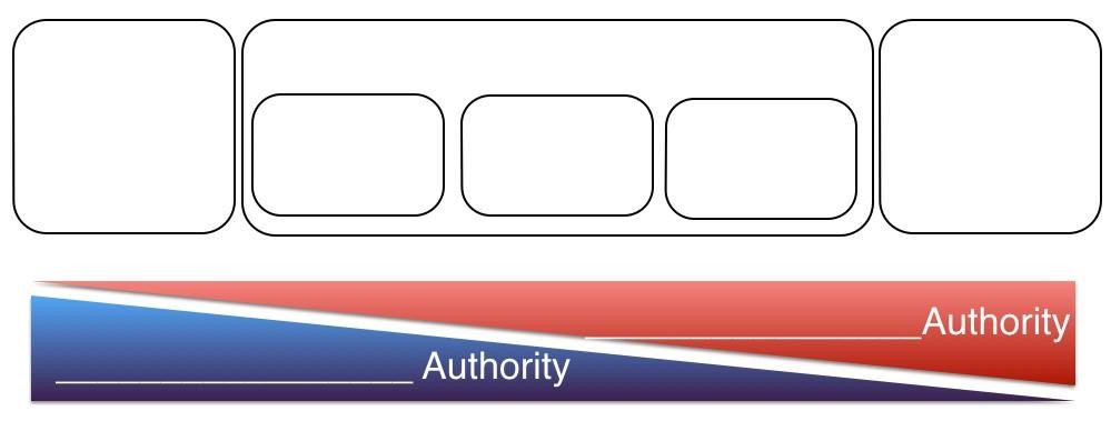 Blank chart showing the authority of project management organizations.