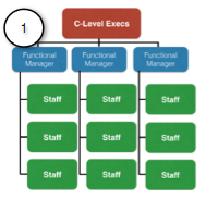 Diagram of a Functional Organization's structure.