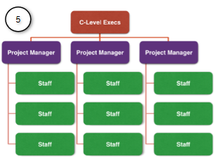 Diagram of a Projectized Organization's structure.