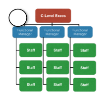 C-Level Execs supervise three Functional Managers, who each supervise a team of Staff.