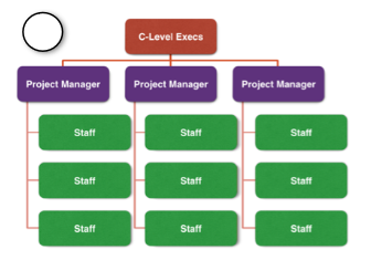 C-Level Execs supervise three Project Managers, who each supervise a team of Staff.