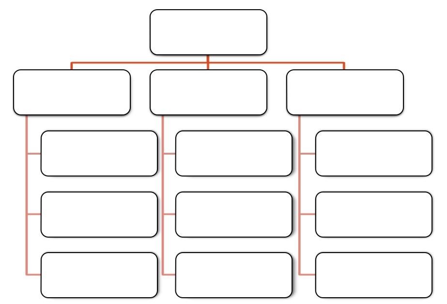 Blank chart showing the structure of a projectized organization.