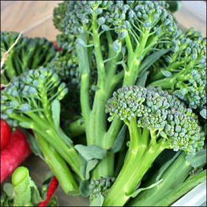 A close up of three pieces of green broccoli