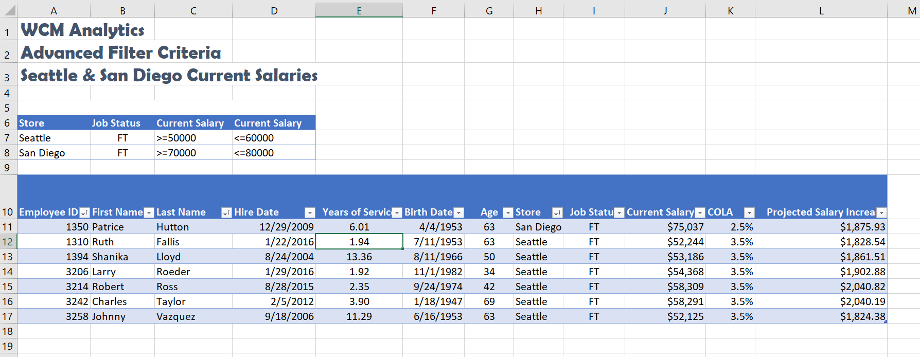 Advanced Filter Table Solution Screenshot