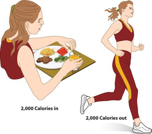 Illustration: calories in come from eating, one example of calories out is exercise.