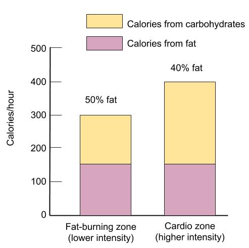 Fat-Burning-Zone.jpg